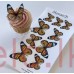 Edible Wafer Butterfly Set Of 9 - MONARCH