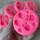 Silicon Mold Rose With Leaf 7 Dfffernce Cavities